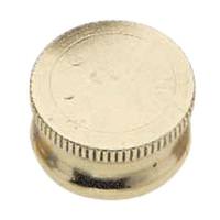 Satco 1/8 IP Brass Lock-Up Caps