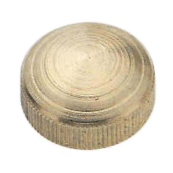 1/8 IP Brass Lock-Up Caps