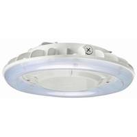 SLG 60 watt 120/277 volt 4000K Cool White White Dimmable LED