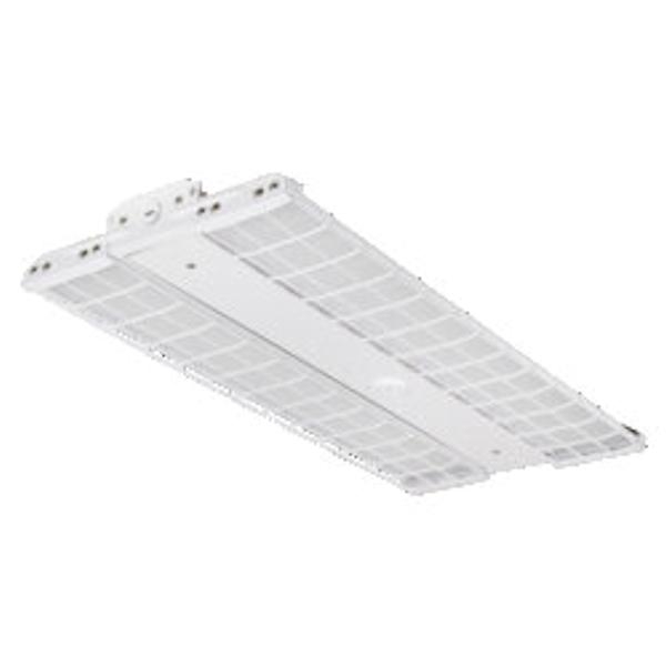 2x4 Wire Guard