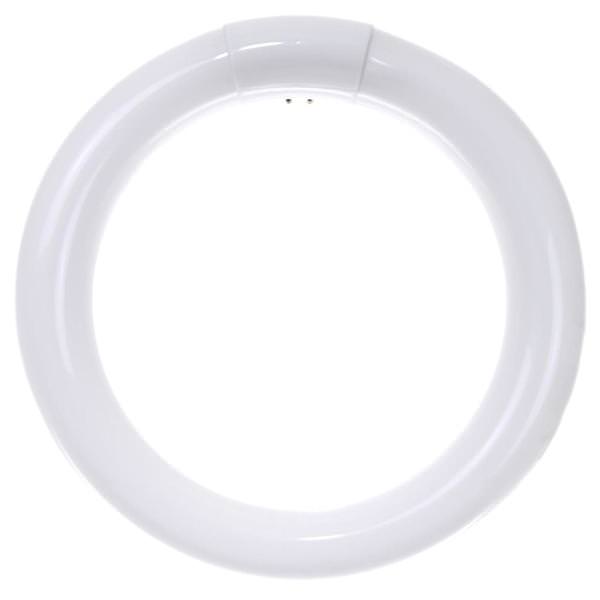 30 watt T9 Circline 4-Pin Base 5000K Daylight Fluorescent