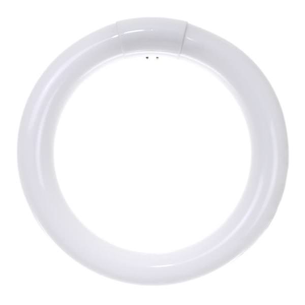 22 watt 120 volt T9 4-Pin Base 6500K Fluorescent Daylight