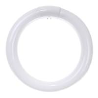 Sunlite 22 watt 120 volt T9 4-Pin Base 6500K Fluorescent Daylight