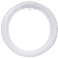 Sunlite 22 watt T9 Circline 4-Pin Base 4100K Cool White