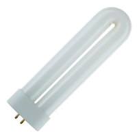 U-Shaped Fluorescent Black Lights