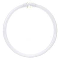 Sunlite 22 watt T5 4-Pin Base 3000K Natural White Fluorescent