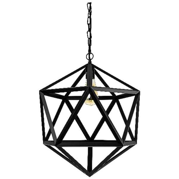 1 Light (Medium Screw Base) Matte Black Hexagon Cage Pendant Light Fixture