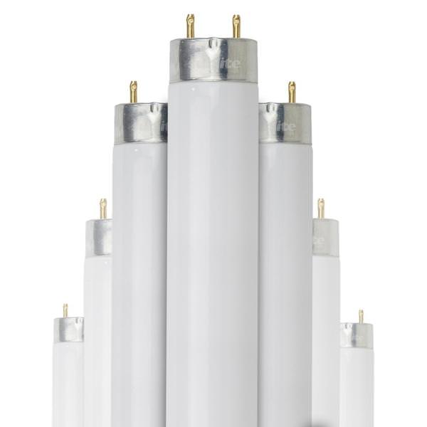 32 watt 48" T8 Medium Bi-Pin Base 5000K Daylight Fluorescent (10 Pack)