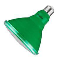 Sunlite 15 watt 120 volt PAR38 Medium Screw Base Green LED
