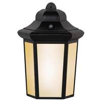 Sunlite 1 Lamp 12 watt 120 volt Black LED Fixture