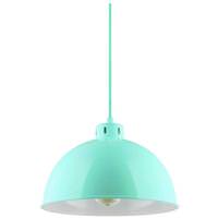 Sunlite 1 Lamp 60 watt 120 volt Medium Screw Mint Pendant Fixture