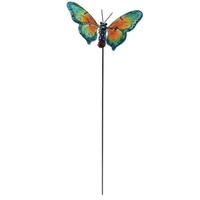 Sunset Vista Designs Butterfly Sunset Vista Designs Pick 