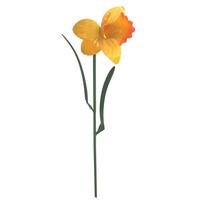 View Daffodil Sunset Vista Designs Stake