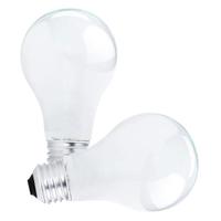 Sylvania 29 watt 120 volt A19 Medium Screw Base 2700K Warm White (2 pack)