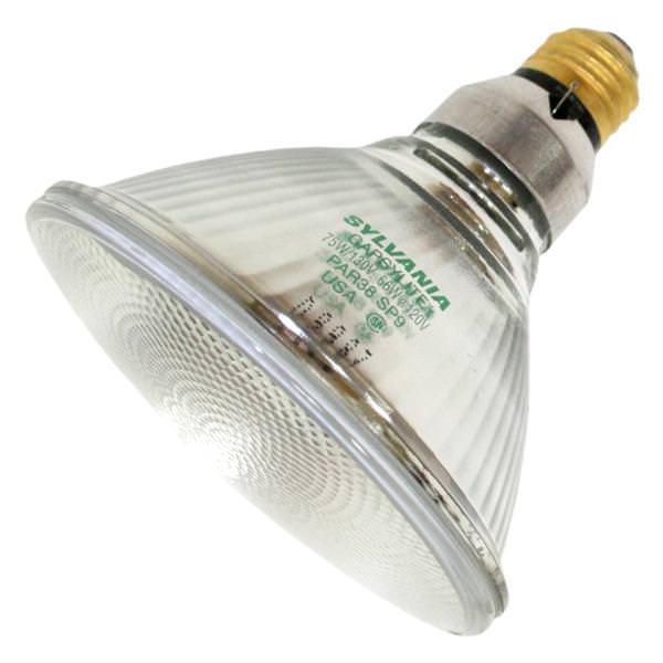 75 watt 130 volt PAR38 Medium Screw Base Spot