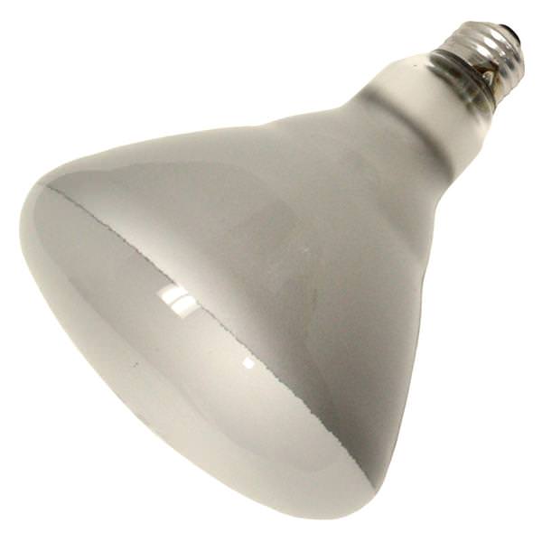 65 watt 120 volt BR40 Medium Screw Base 2850K Warm White