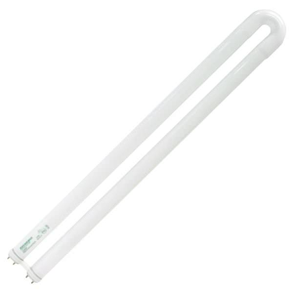 31 watt 22.5" T8 Bi-Pin Base 3500K Neutral White