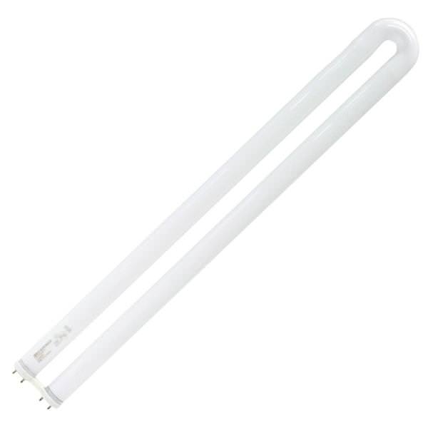 29 watt 22.5" T8 Medium Bi-Pin Base 3000K Natural White Fluorescent