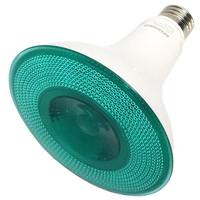 View 9 watt 120 volt PAR38 Medium Base LED Green Flood