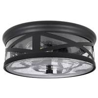 Sylvania 2 Light Matte Black Dimmable Ceiling Light Fixture