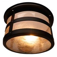 Sylvania 2 Light 120 volt Matte Black Dimmable Ceiling Light Fixture