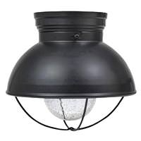 Sylvania 1 Light 120 volt Matte Black Ceiling Light Fixture