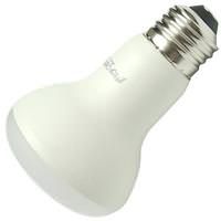 TCP 9 watt 120 volt R20 Medium Screw Base 2700K Warm White Dimmable Flood LED