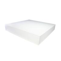 TCP 2' x 2' Deep Pop Out Accent Artistic Lens for Flat Panels