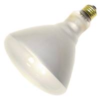 BR40 Halogen Light Bulbs