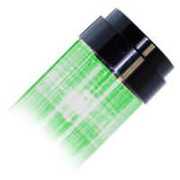 48" T12 Green Tube Guard