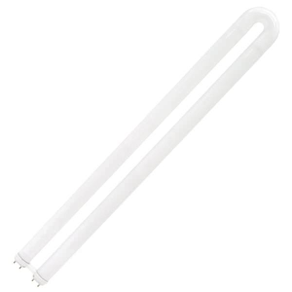 31 watt 22.5" T8 Bi-Pin Base 4100K Cool White
