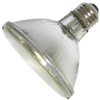 Ushio 60 watt 120 volt PAR30 Medium Screw Base 2900K Warm White Flood