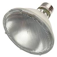 Ushio 38 watt 120 volt PAR30 Medium Screw Base 2900K Warm White Flood