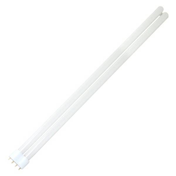 40 watt T4 4-Pin Base 4100K Cool White CFL