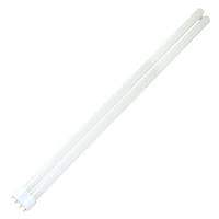 Ushio 40 watt T4 4-Pin Base 4100K Cool White CFL
