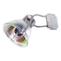 Ushio 250 watt 100 volt M90 Clear Metal Halide