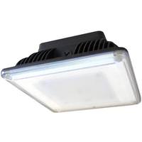 Venture 45 watt 120/277 volt 5000K Daylight LED Surface Canopy Fixture