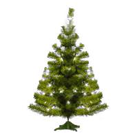 Vickerman 2' Artificial Canadian Pine 35 Clear Lights