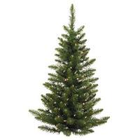 Vickerman 3' Artificial Camdon Fir Wall 50 Clear Lights