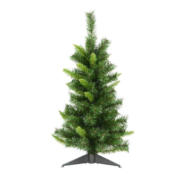 2.5' Imperial Pine