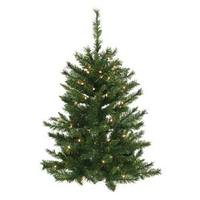 Vickerman 4' x 32" Artificial Imperial Pine Wall 50 Clear DuraLit Miniature Lights