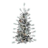 Vickerman 3' x 24" Artificial Frosted Arctic Pine Wall 70 Clear Lights
