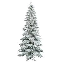 Vickerman 12' x 65" Artificial Flocked Slim Utica Fir 1,050 Warm White Italian LED Lights