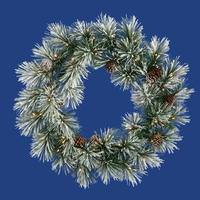 Vickerman 36" Artificial Flocked Scotch Pine Wreath 50 Clear Lights