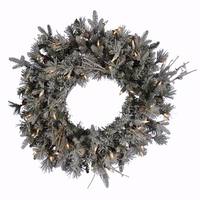 Vickerman 24" Artificial Frosted Wistler Fir Wreath 50 Clear Lights