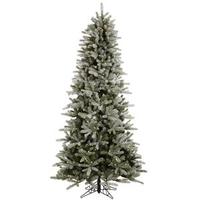 Vickerman 9.5' x 54" Artificial Frosted Frasier Fir 1000 Italian LED Warm White Lights