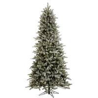 Vickerman 12' x 66" Artificial Frosted Frasier Fir 1,650 Clear Lights