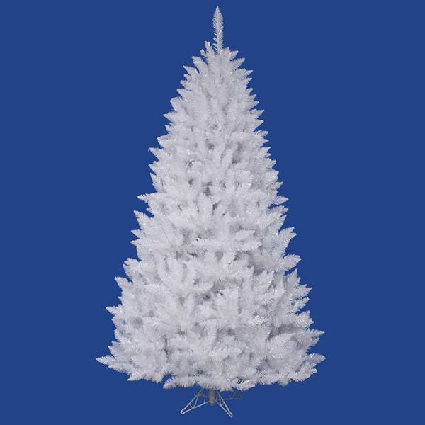 12' x 72" Sparkle White Spruce