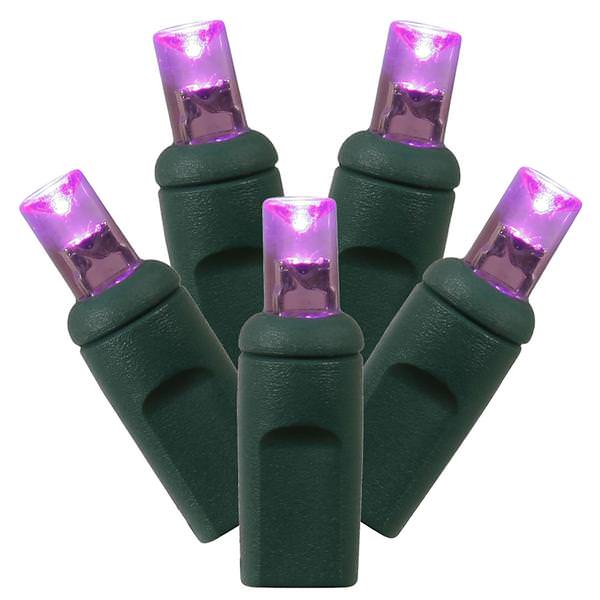 50 Light 25' Green Wire Purple Wide Angle LED Miniature String with 6" Spacing