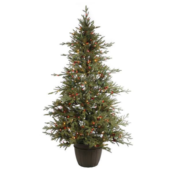 6' x 46" Artificial Nevis Pine Potted 300 Multi-Color Italian LED Lights with Cones and Berries